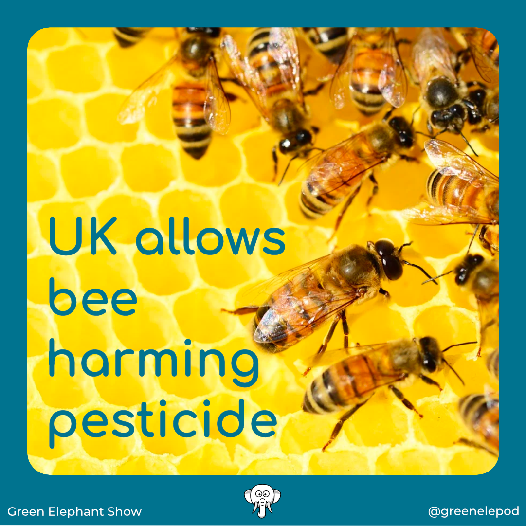 Bee harming pesticides