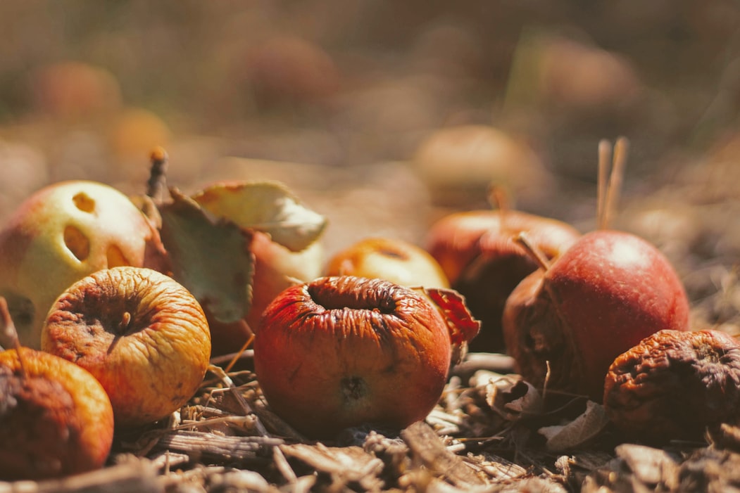 Food waste in the UK