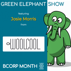 B Corp Month 2021 Interview - Josie Morris from CoolWool