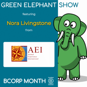 B Corp Month 2021 Interview - Nora Livingstone from Animal Experience International