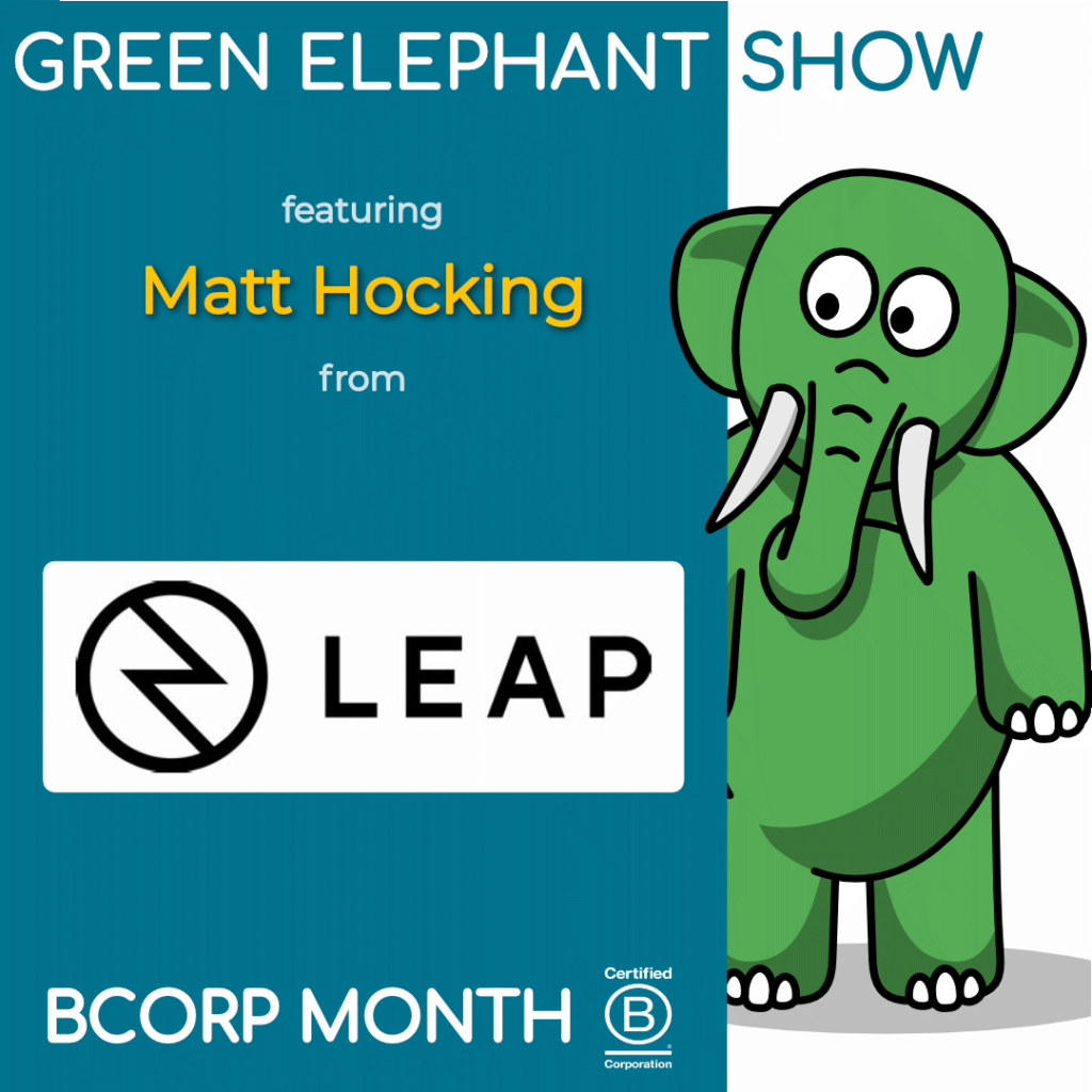 B Corp Month 2021 Interview - Matt Hocking from LEAP