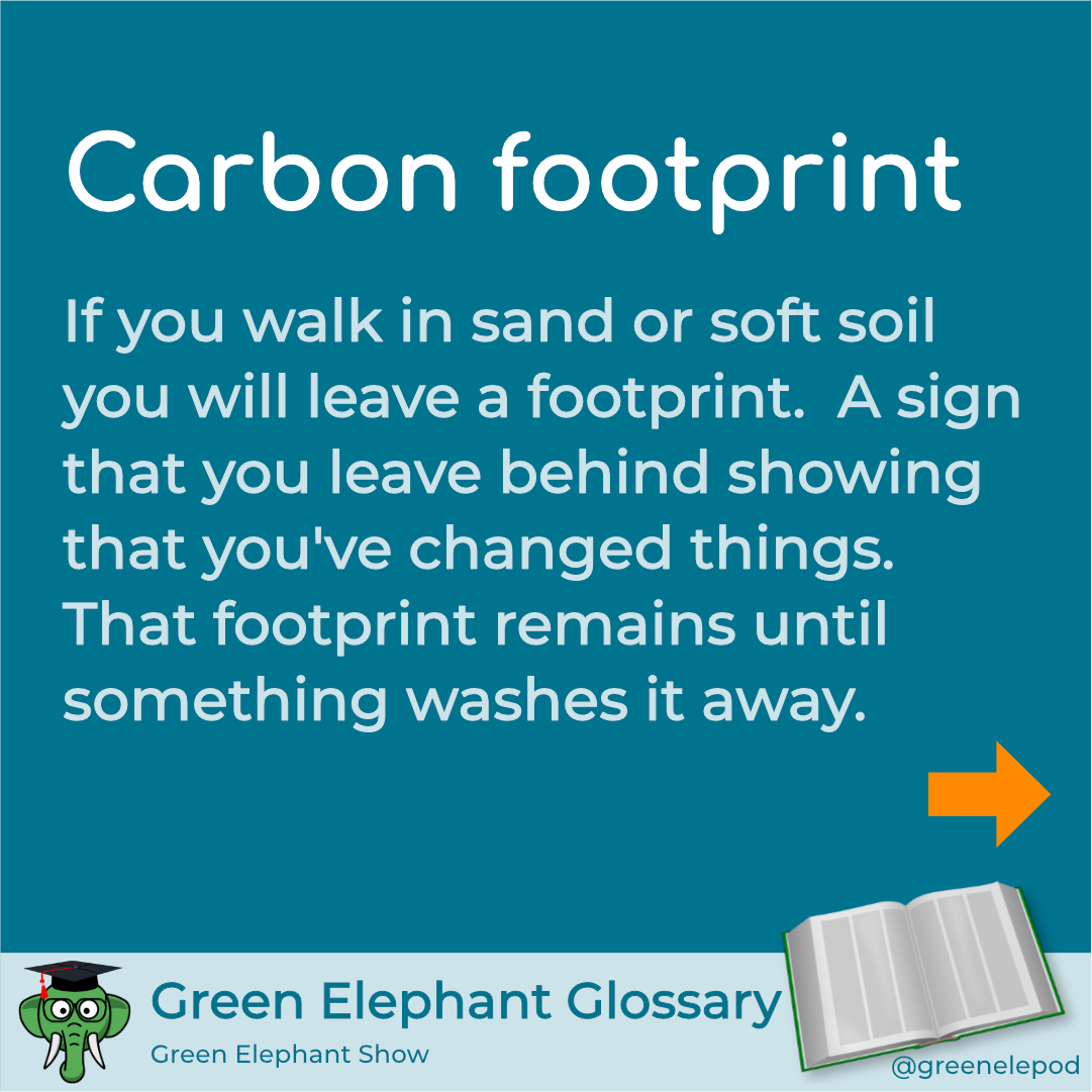 Carbon Footprint Gydeline