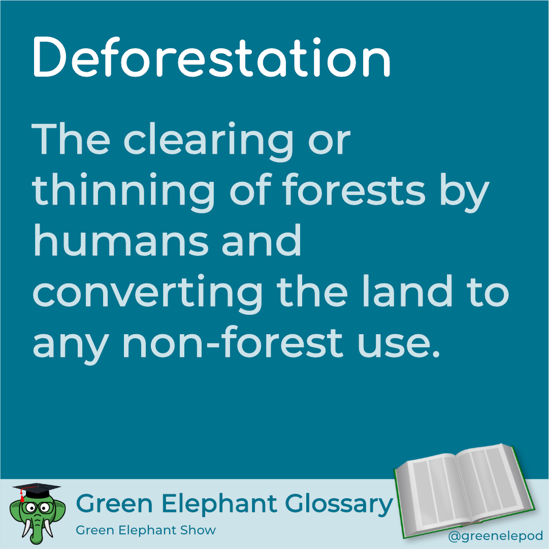 Deforestation definition
