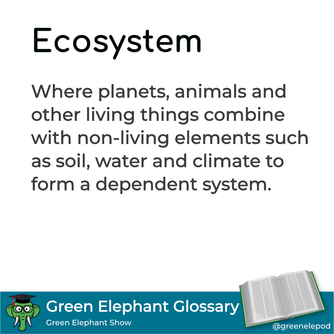 Ecosystem defined