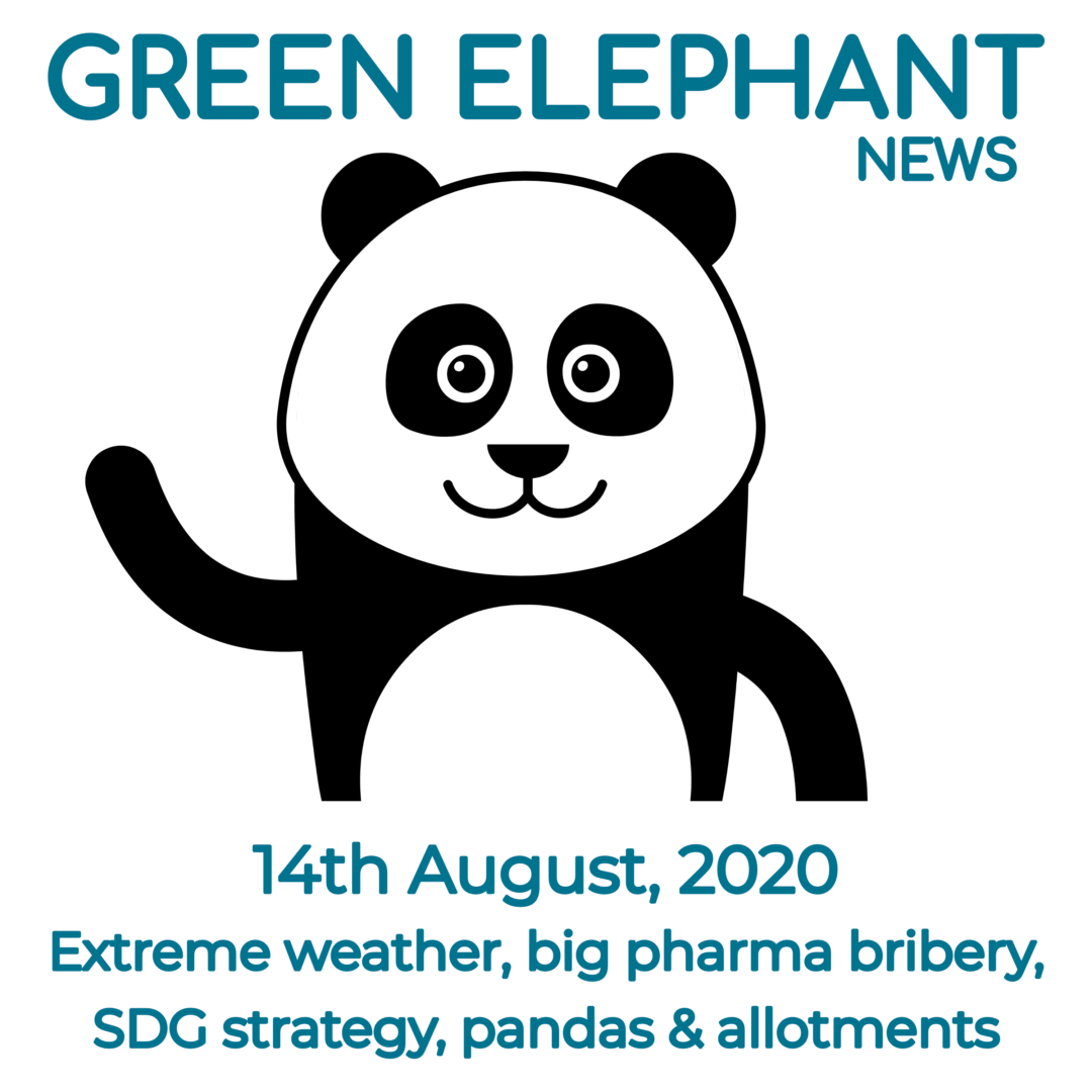 Green Elephant Sustainability News 14th August 2020