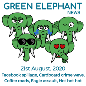 Green Elephant Sustainability News 21st August 2020