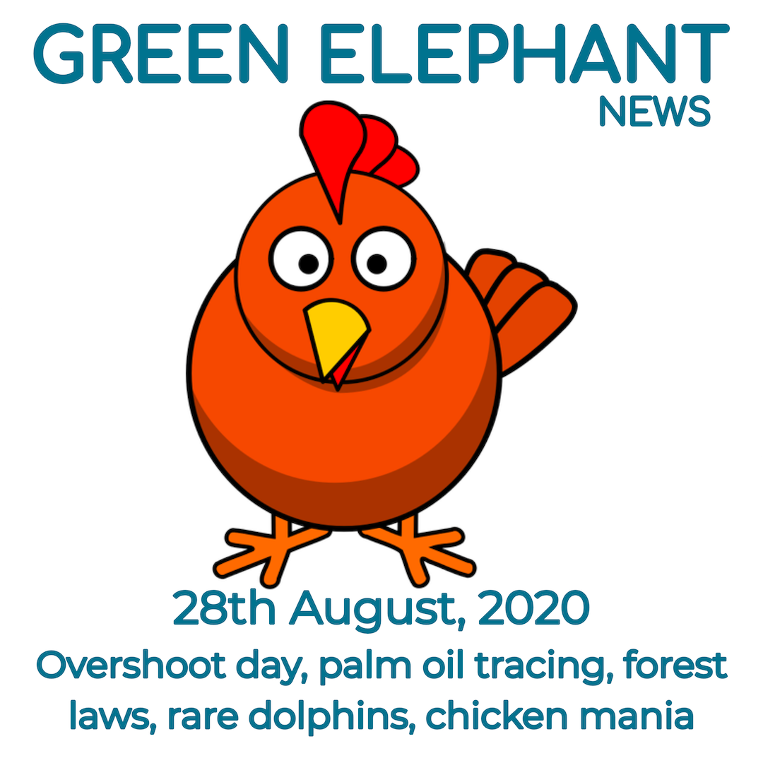 Green Elephant Sustainability News 28th August 2020