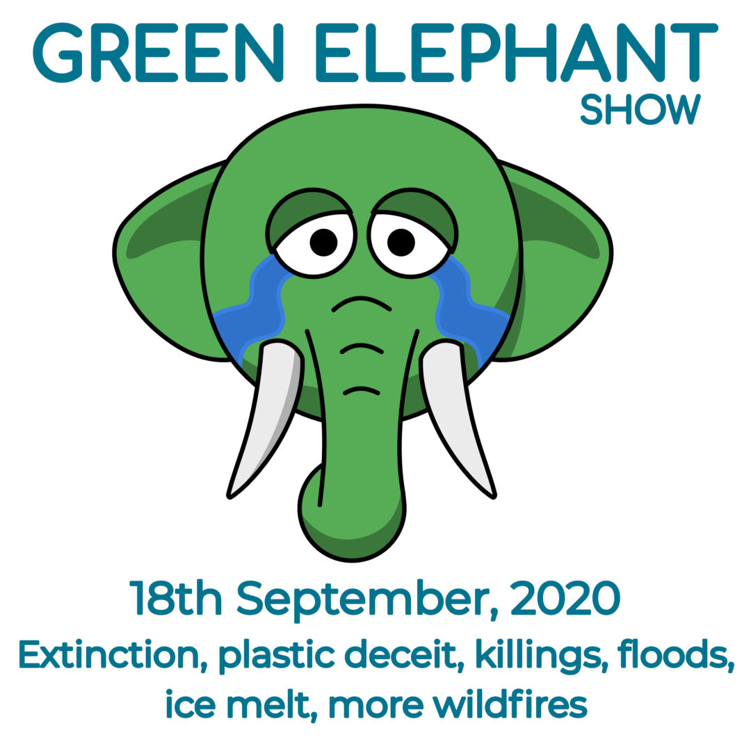Green Elephant Show No 15 covering the latest sustainability news