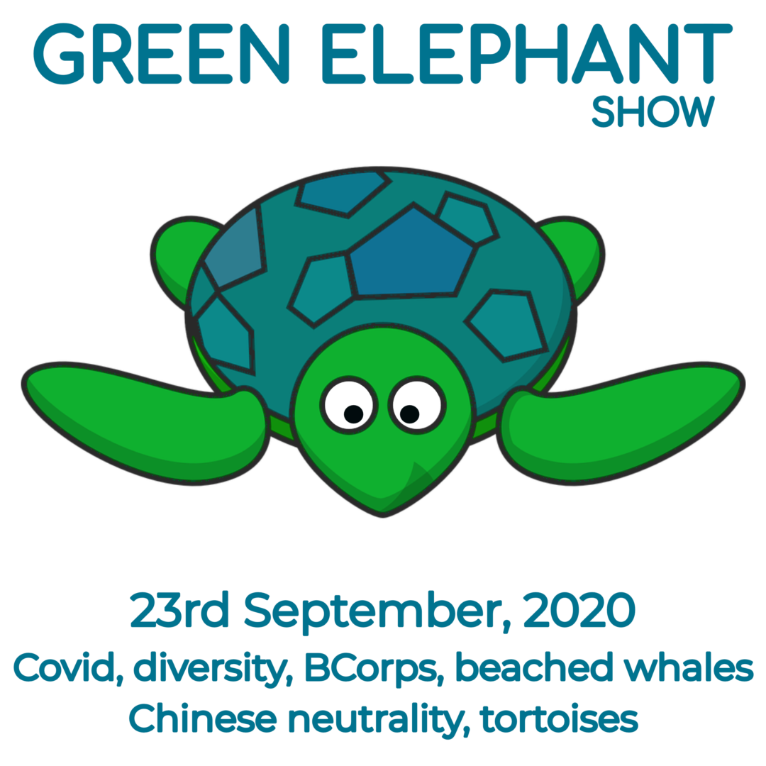 Green Elephant Show No 16 covering the latest sustainability news