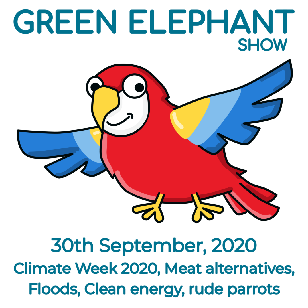 Green Elephant Show No 17 covering the latest sustainability news