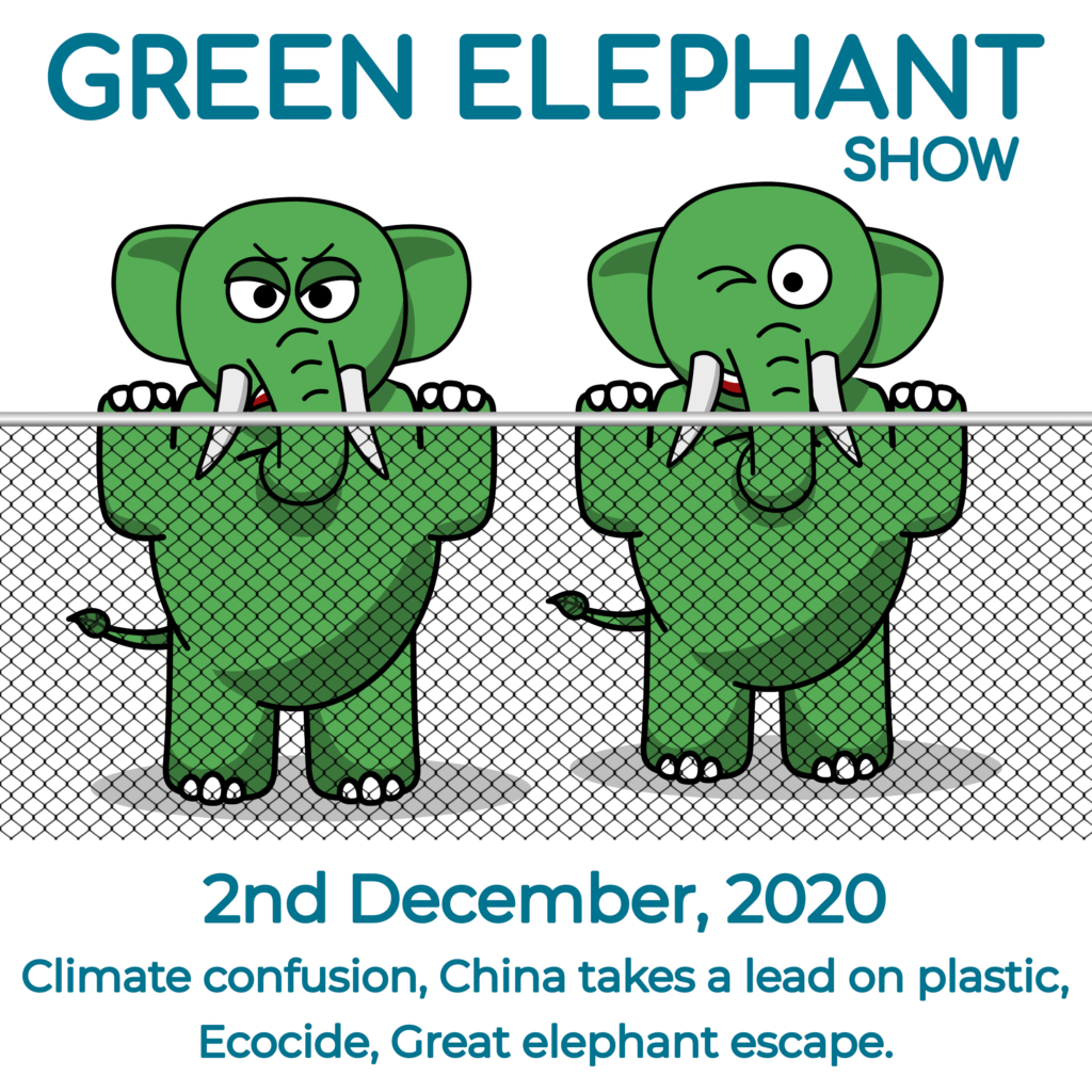 Green Elephant Show No 25 covering the latest sustainability news