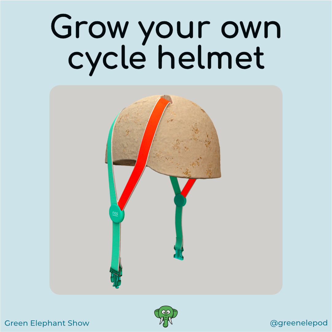 Grow your own cycle helmet