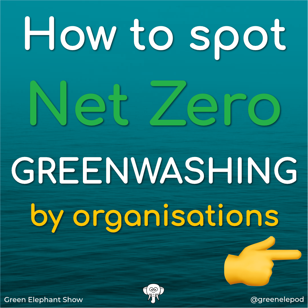 How to spot organisation Greenwashing