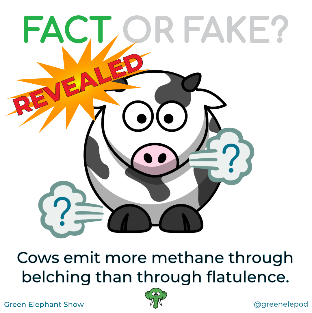 Cow methane