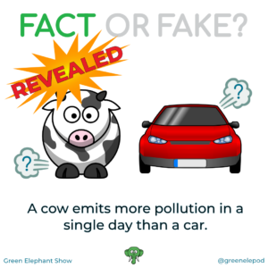 Cows emit more than cars