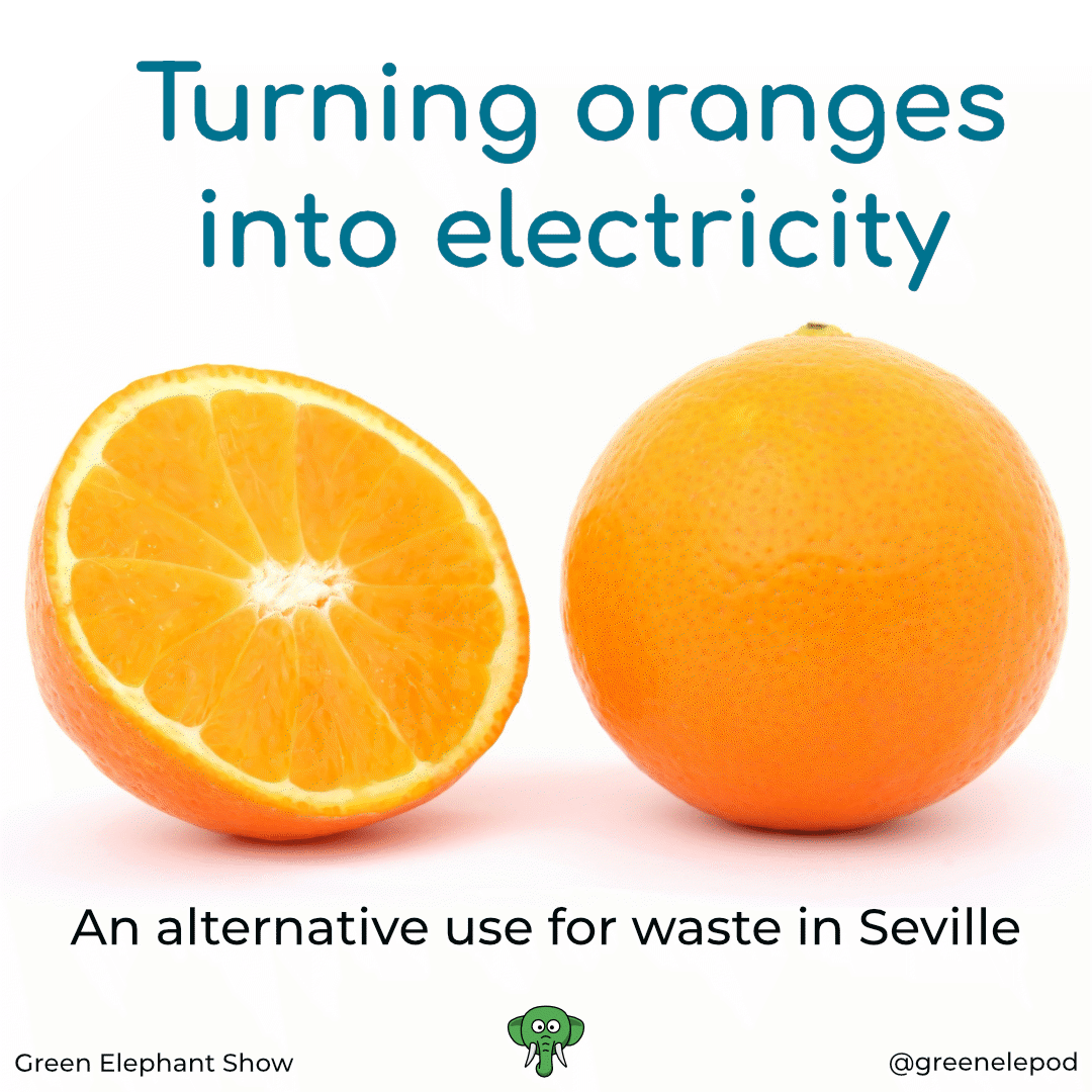 Electricity from Oranges