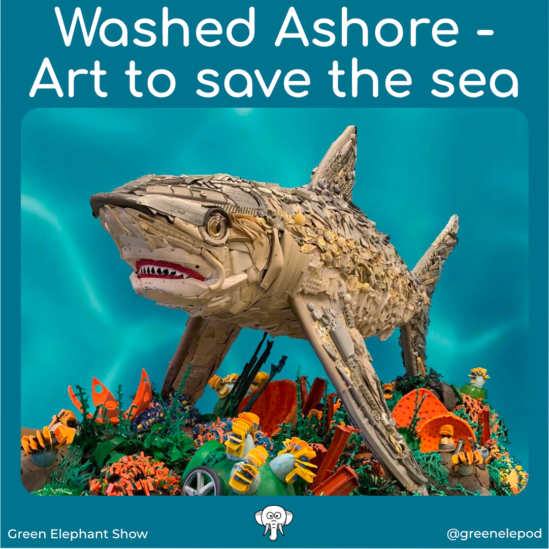 Art to save the sea